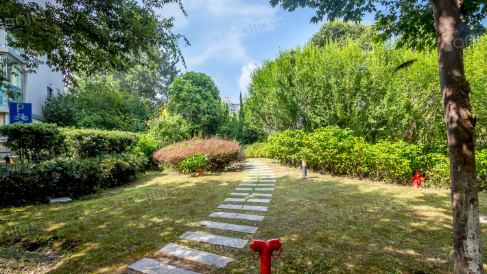 中房樱桃苑外景图