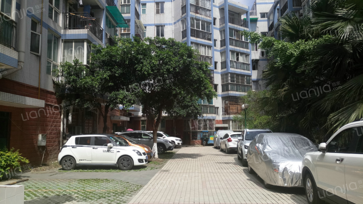 学邻名苑外景图