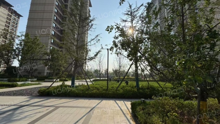 众安·青岛新城市外景图