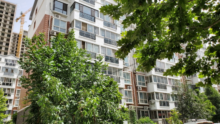 金色家园外景图