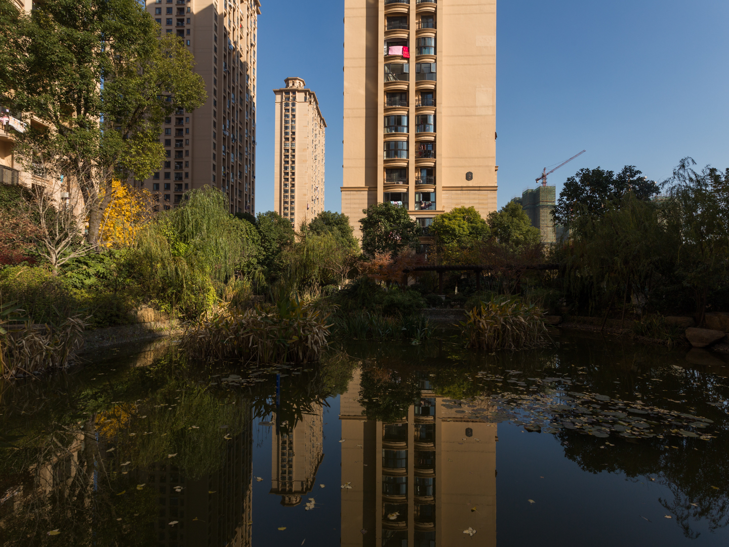 华瑞晴庐小区实景 3