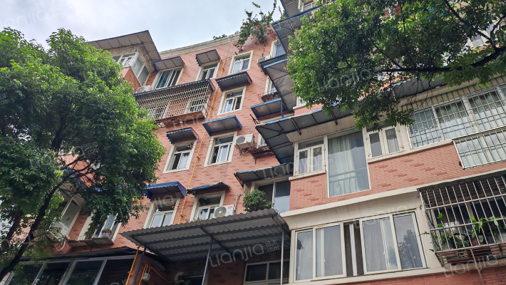 金明街81号外景图