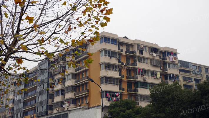 学院路222号外景图