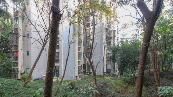 理想莲花苑外景图