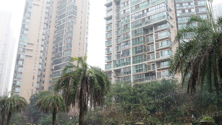 新城新世界三期外景图