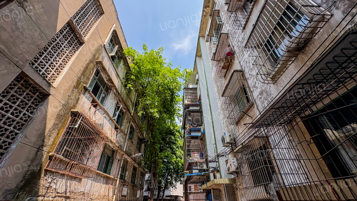 东关东巷52号外景图