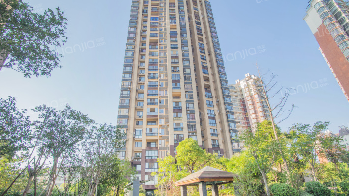 朝阳映象外景图