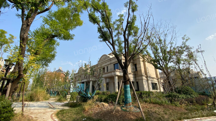 恒大凤凰庄园外景图