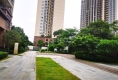 肇庆宝能城户型图实景图