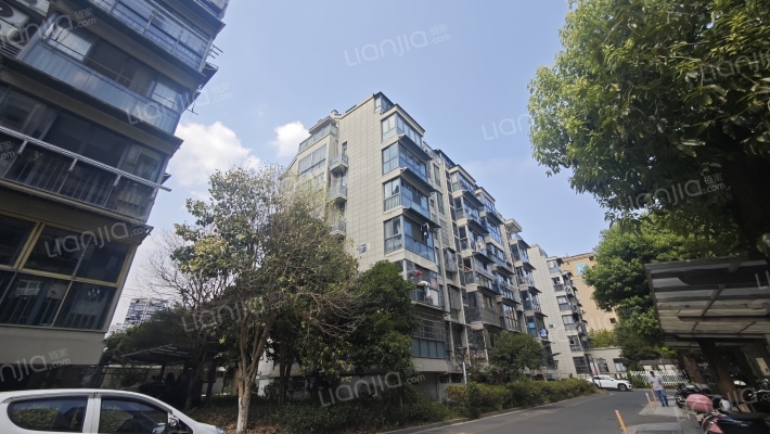 横桥沈合苑外景图