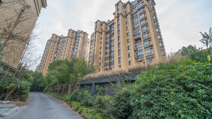 华瑞湘湖林语外景图