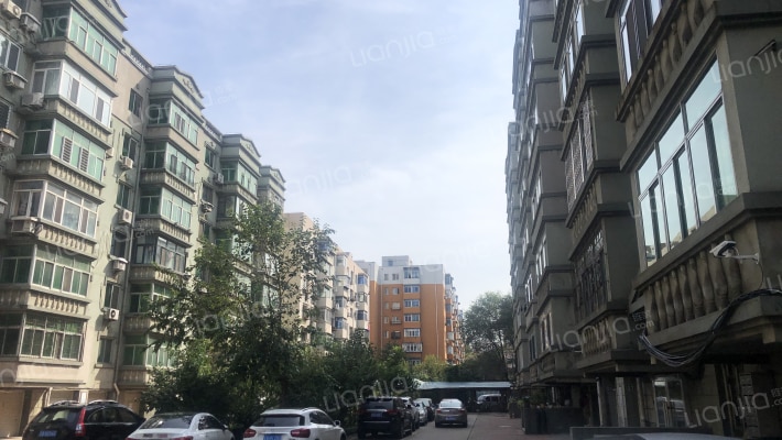 南湖新园外景图