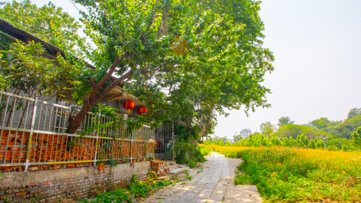 太古山新村外景图