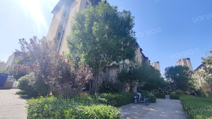 星河传奇东区外景图