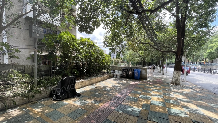 中东社区东山巷九号院落外景图