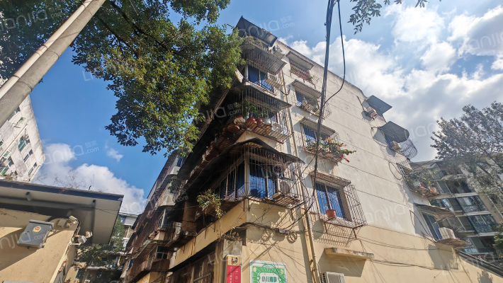 文化局宿舍外景图