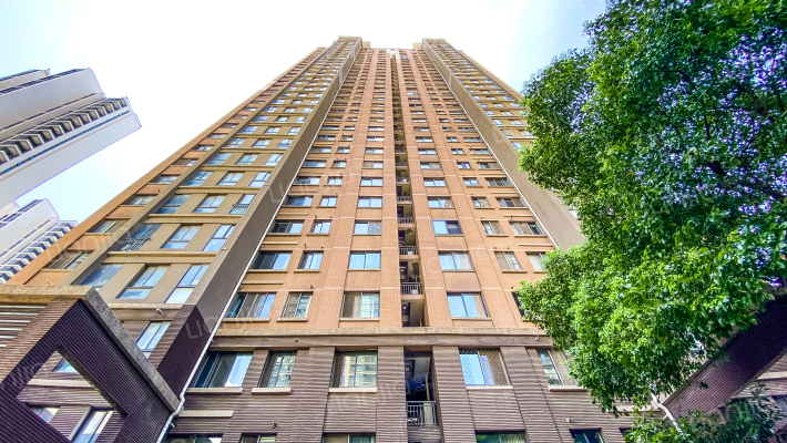 长江国际臻园外景图