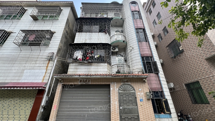 新城村258号外景图