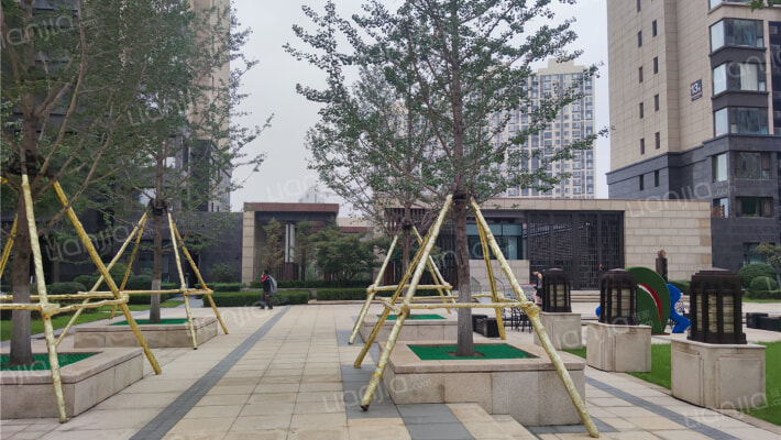 越秀星汇云锦外景图