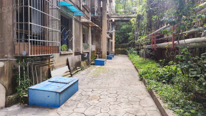 贵定路4号外景图