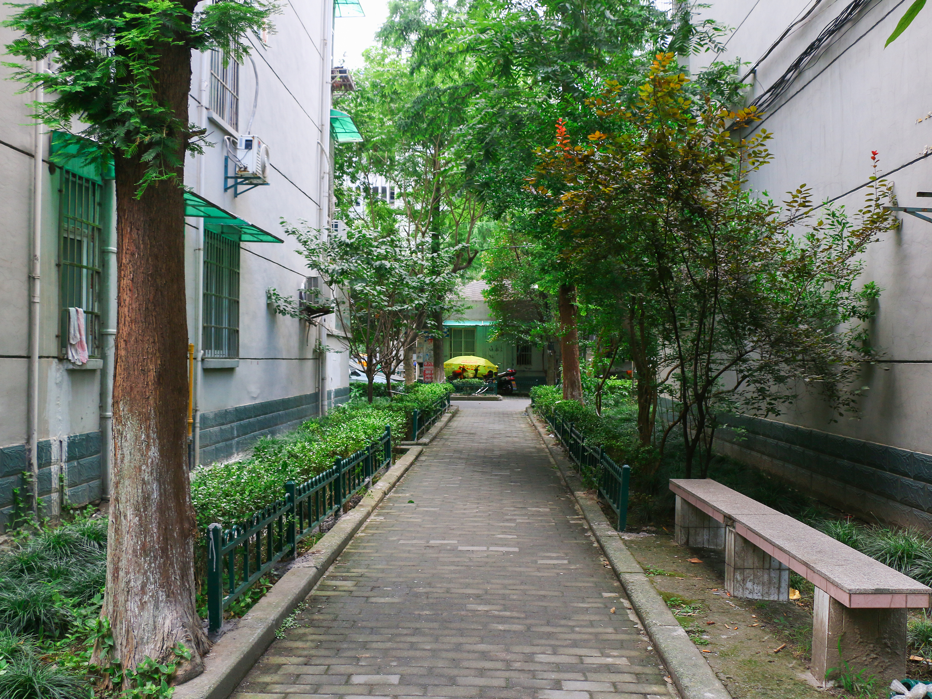 采荷一区小区实景 9