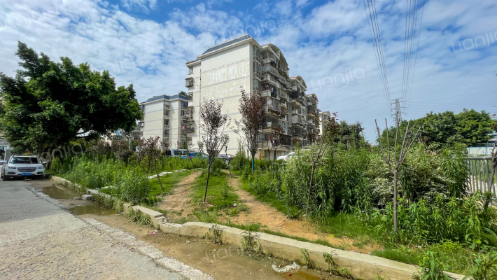 马保5号小区外景图