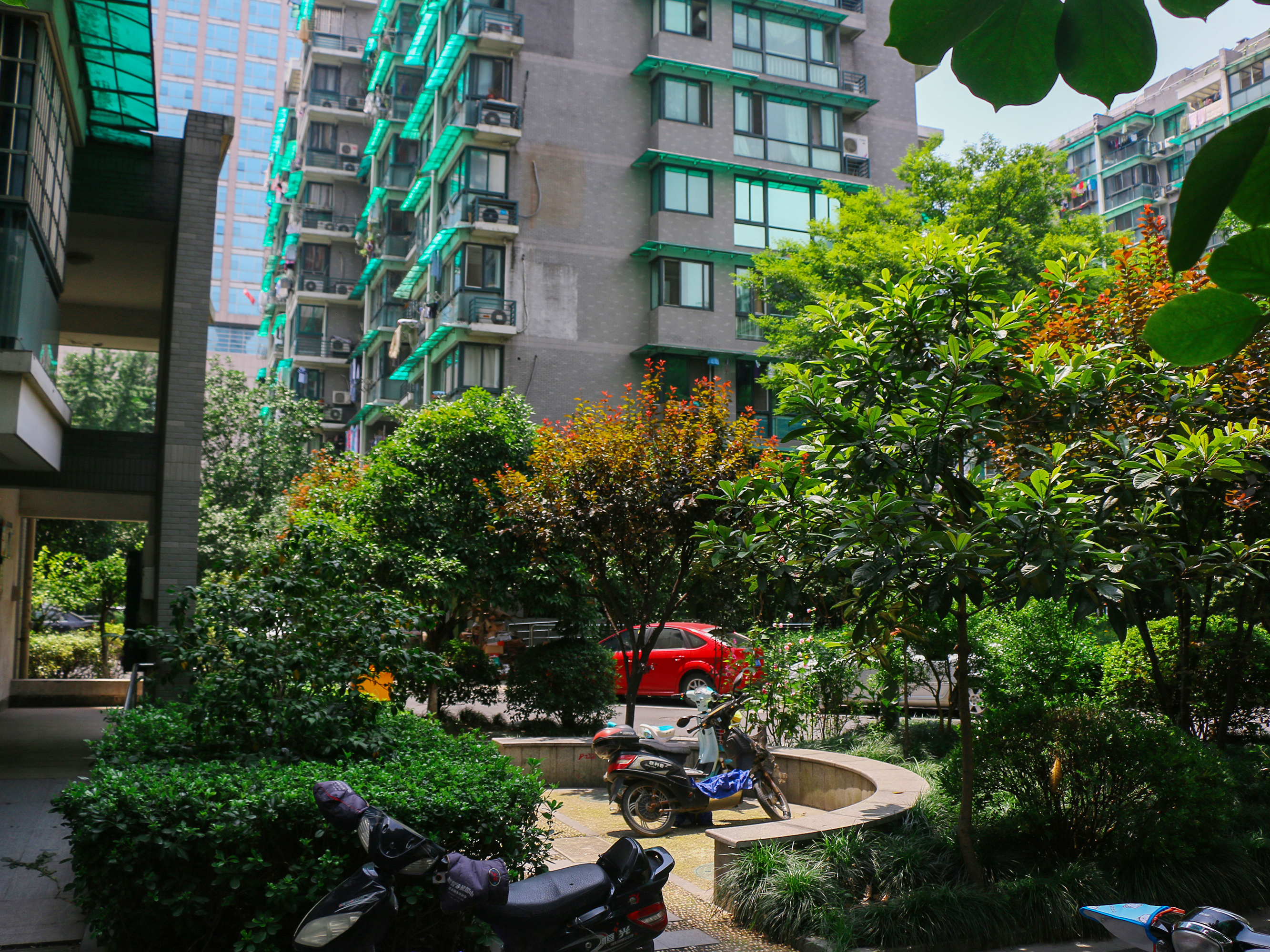 钱江六苑小区实景 7