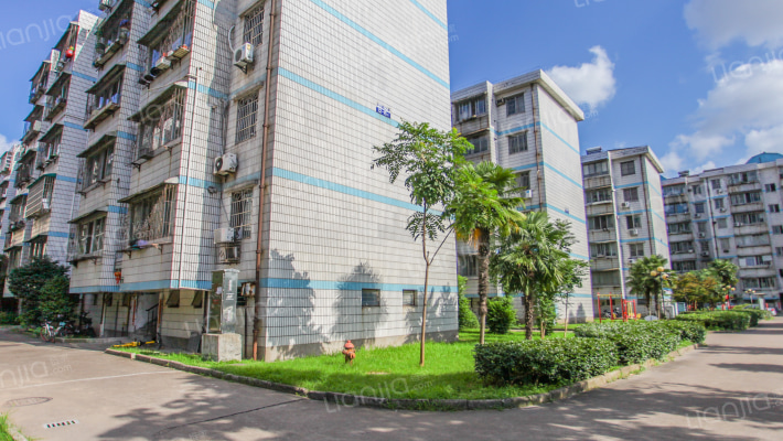 中兴路829弄小区外景图