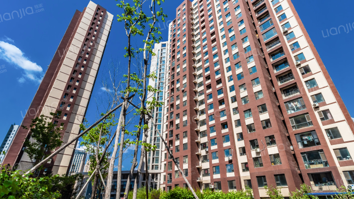 中意之尊外景图