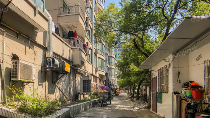 沈家路56号外景图