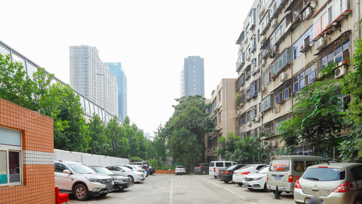 外国语中学外景图