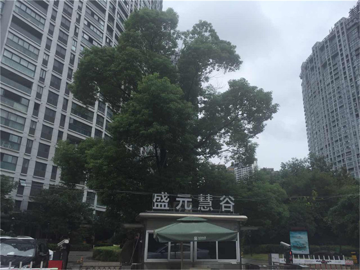 盛元慧谷小区实景 15