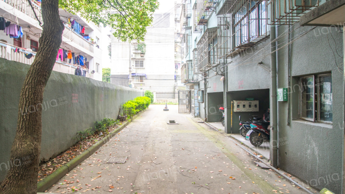 定桥北路外景图