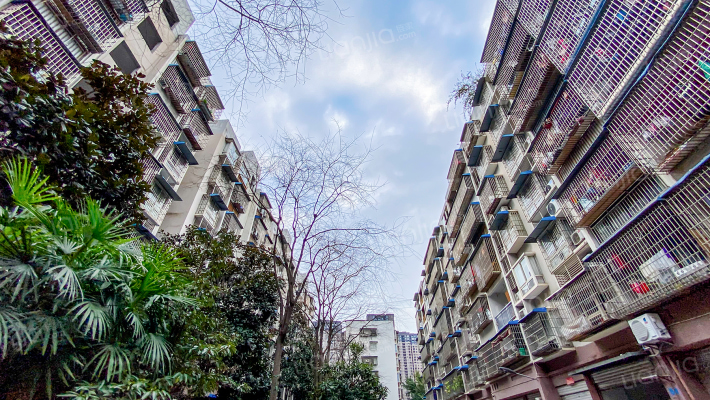 鸡冠石路44号外景图