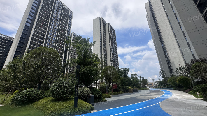 麓谷城市公园外景图