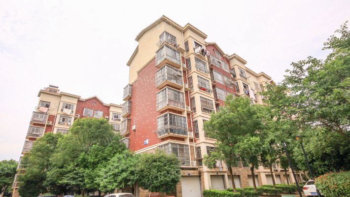 翠湖名园外景图