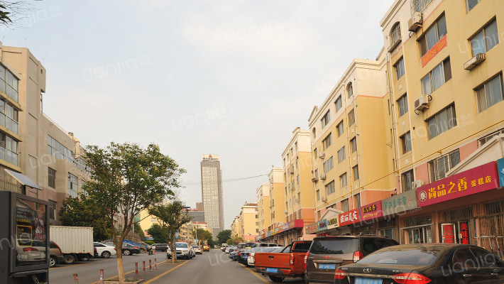 丁家河小区外景图