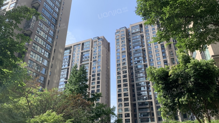 成都文儒德外景图