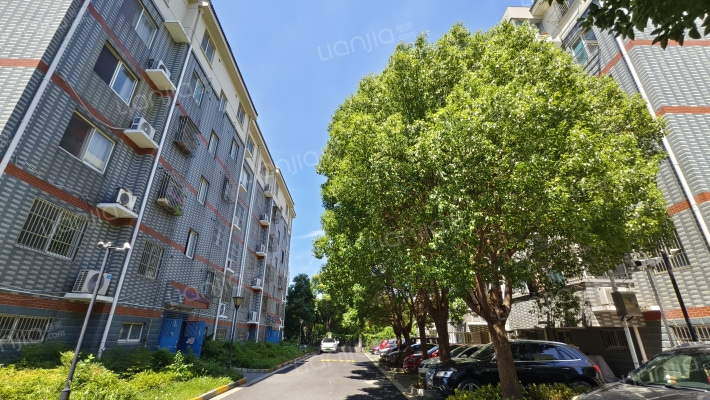 锦山花园外景图