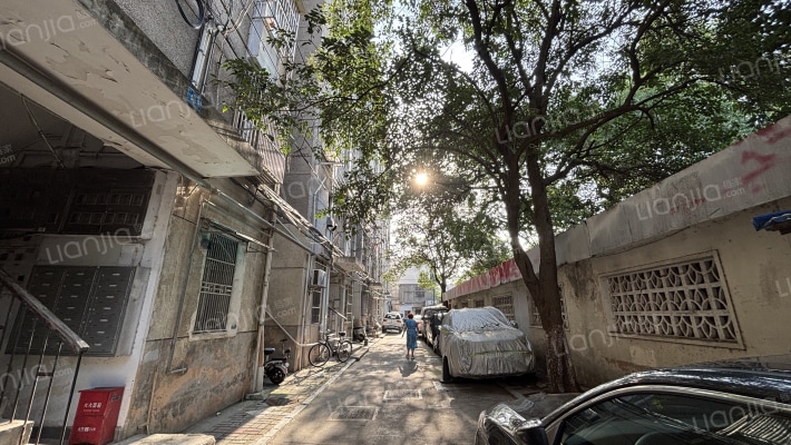 东大影壁外景图