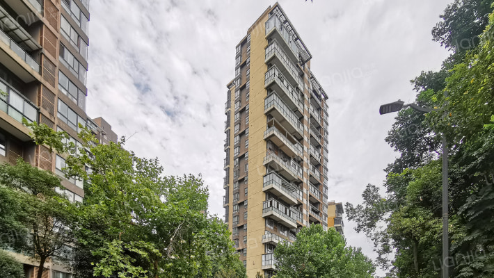 华侨城纯水岸一期高层外景图