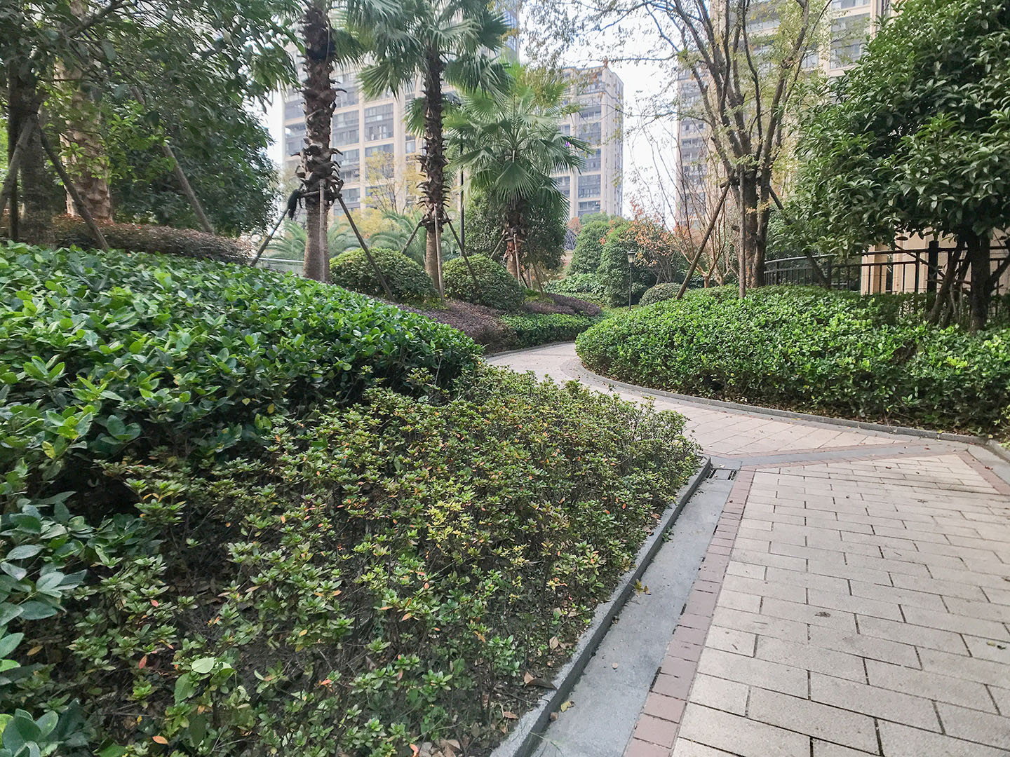 德信大家钱江府小区实景 31