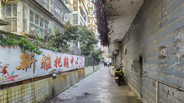 家和花园外景图