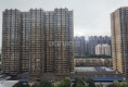 金世纪·新城户型图实景图