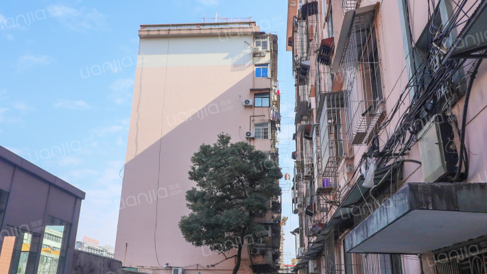 省地矿局宿舍（丁公路12号/洛阳路158号）外景图