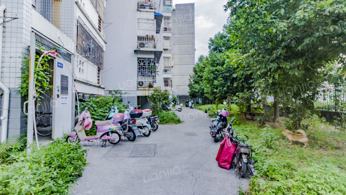 石湖桥小区外景图