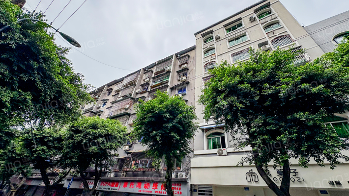 向阳街336号外景图