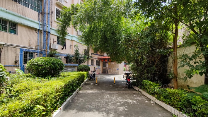 后所街新苑外景图