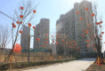 金域缇香户型图实景图