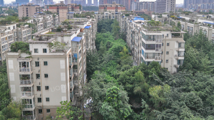 水木光华外景图